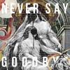 Ali Never Say Goodbye Regular Edition Music Album