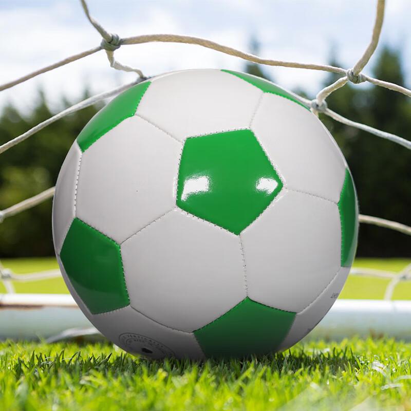 Ziwuqian PVC Training Football