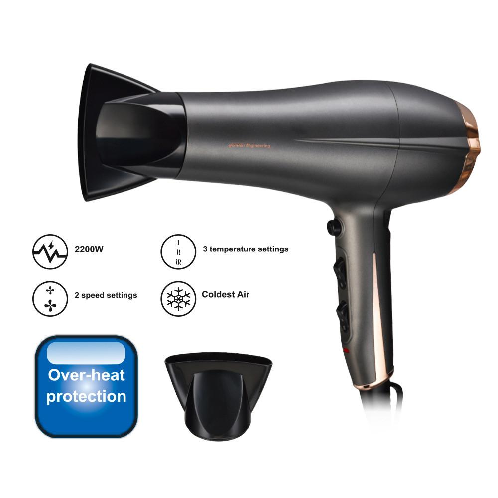 2200W 2 Speed Household High Power Electric Hair Dryer Adjustable Hair Salon Professional Blow Dryer