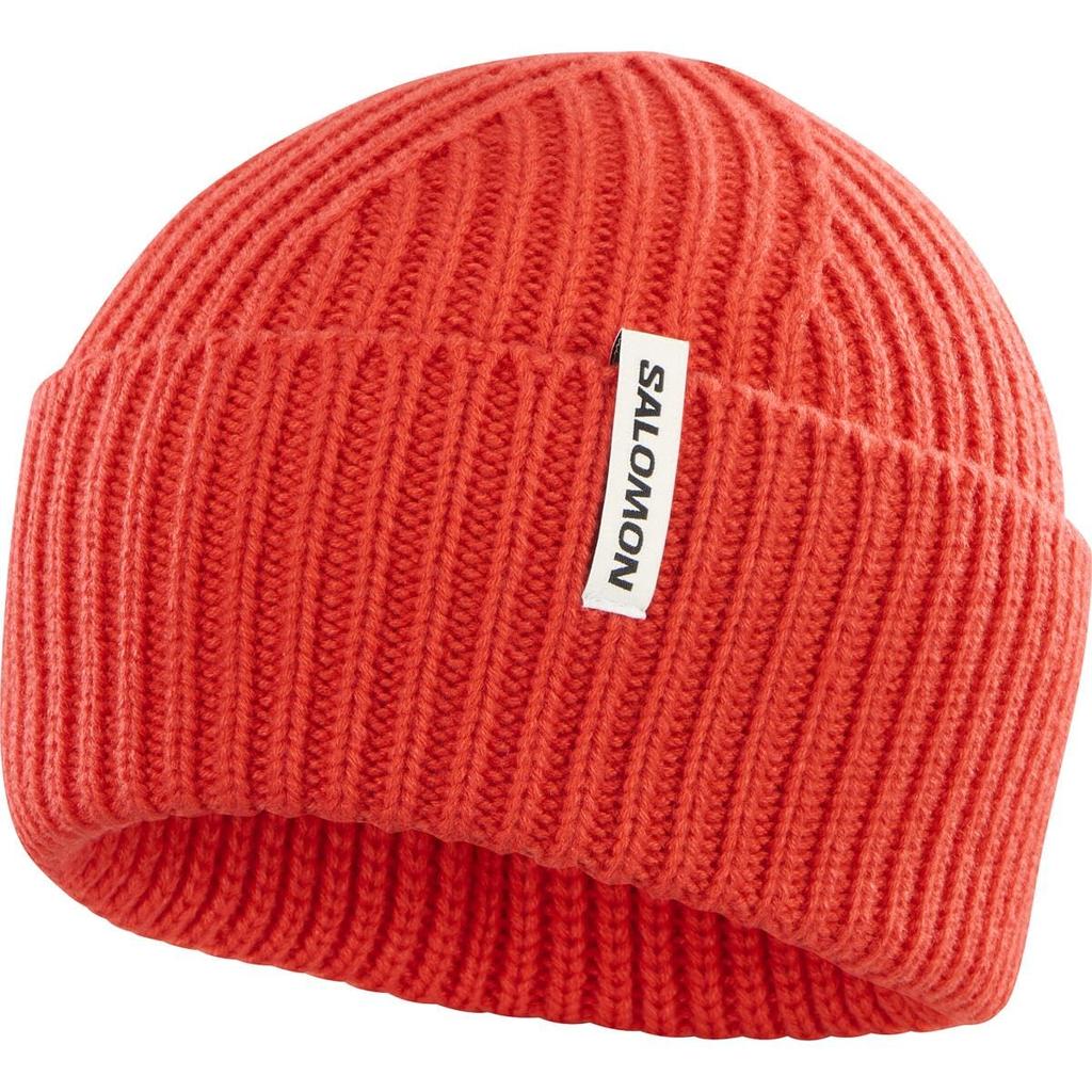 Salomon SNOWBIRD BEANIE U Knit LC2329600 OSFA Ski/Snowboard Hat, 2024-25 Model, Unisex,