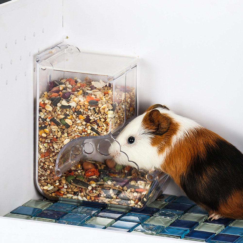 Hamster Automatic Transparent Food Feeder Plastics Simplicity Clear Strong Samll Animal Food Bowl Pet Supplies