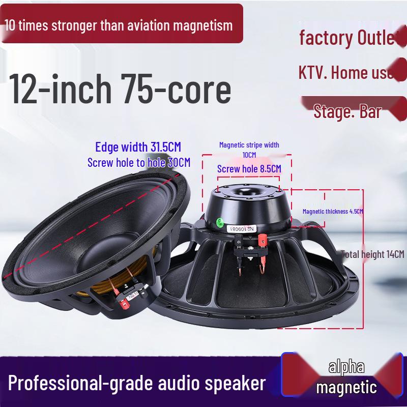 6.5-21 inch High-Power Mid-Bass Pro Stage Speaker with Neodymium Magnet