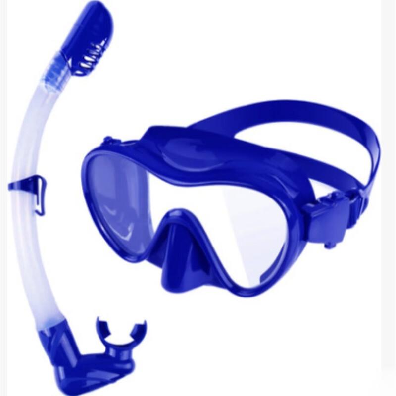 Adult Diving Mask and Full Dry Snorkel Set