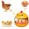 Home Use Educational Egg Incubator for Chicken Duck Goose Bird Eggs Easy Operation Fertilization Rate Above 90%