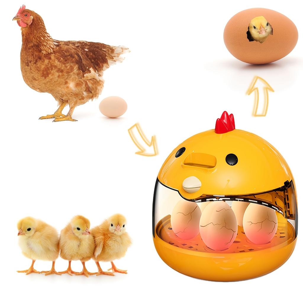 Home Use Educational Egg Incubator for Chicken Duck Goose Bird Eggs Easy Operation Fertilization Rate Above 90%