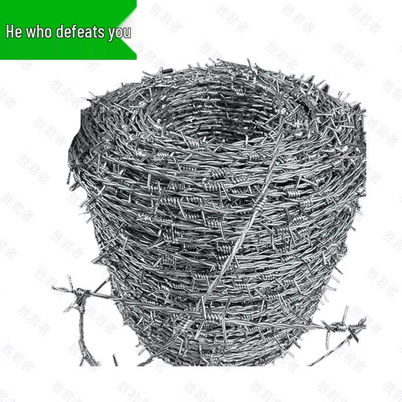 Hot-dip Galvanized Security Barbed Wire