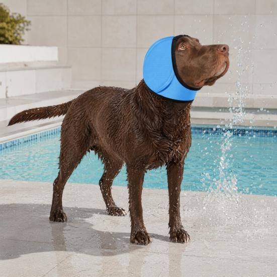 Noise Cancelling Ear Wrap, No Shake Dog Ear Muffs, Noise Reduction Earmuffs from Thunder Vacuum, Dog Calming Ear Wrap for Grooming Bathing Swimming
