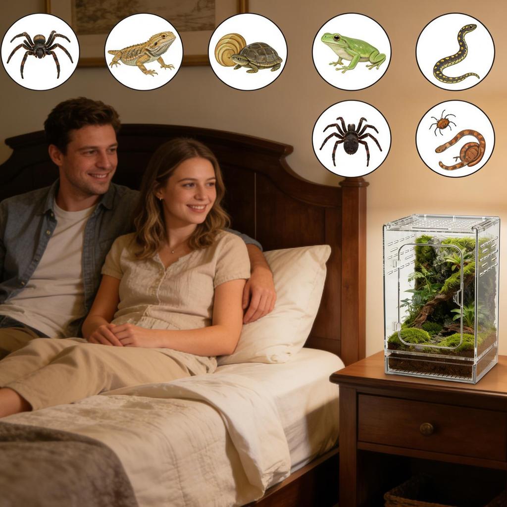 Jumping Spider Habitat Comfortable Acrylic Full Transparency Small Reptile Enclosure Habitat For Lizards Small Turtles Snails