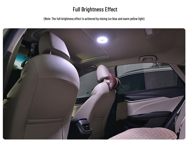 Car Interior LED Reading and Roof Light Set