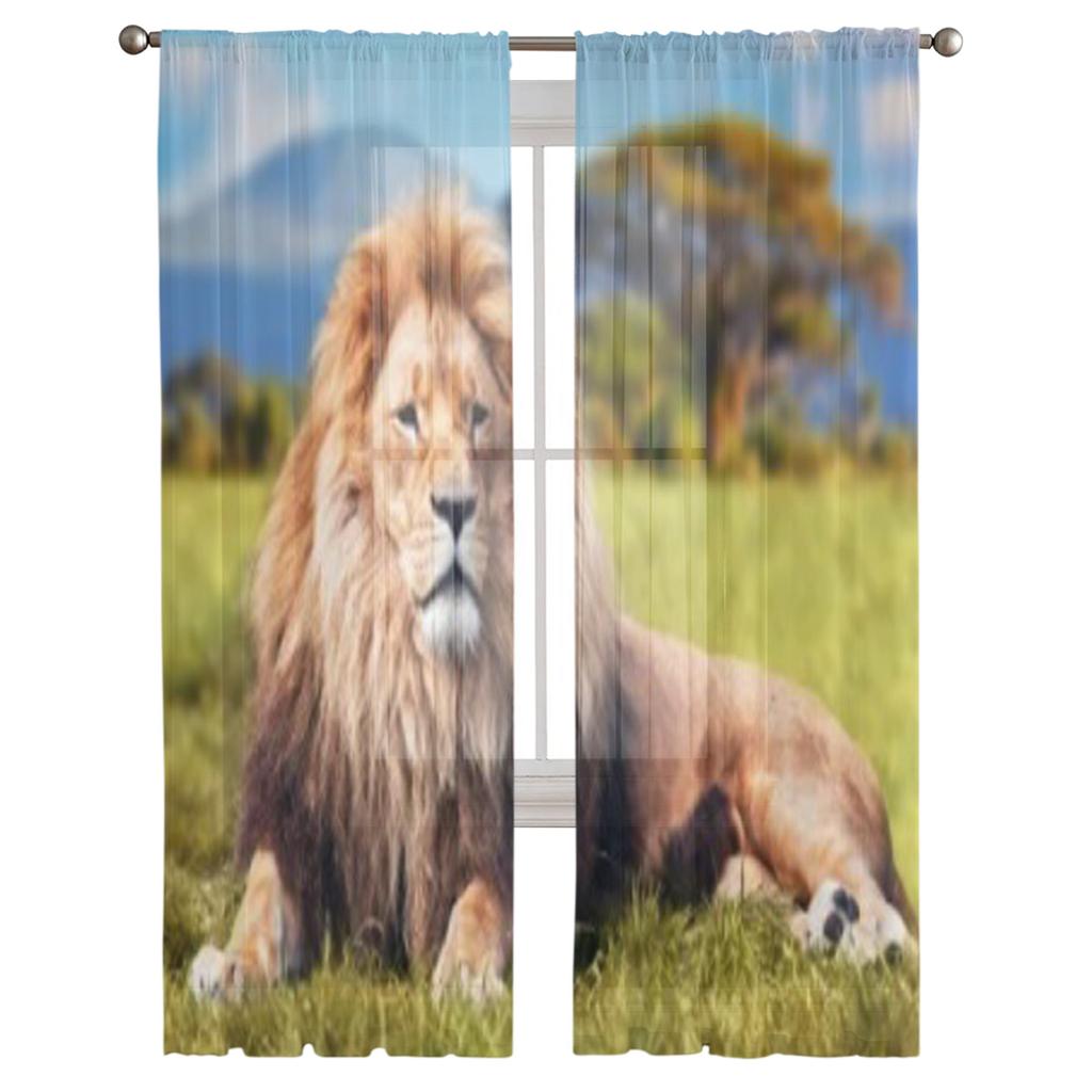 Großer Löwe liegt auf Savannengras Tüll Transparent Vorhänge für Wohnzimmer das Zimmer Schlafzimmer Küchendekoration Voile Organza Vorhänge