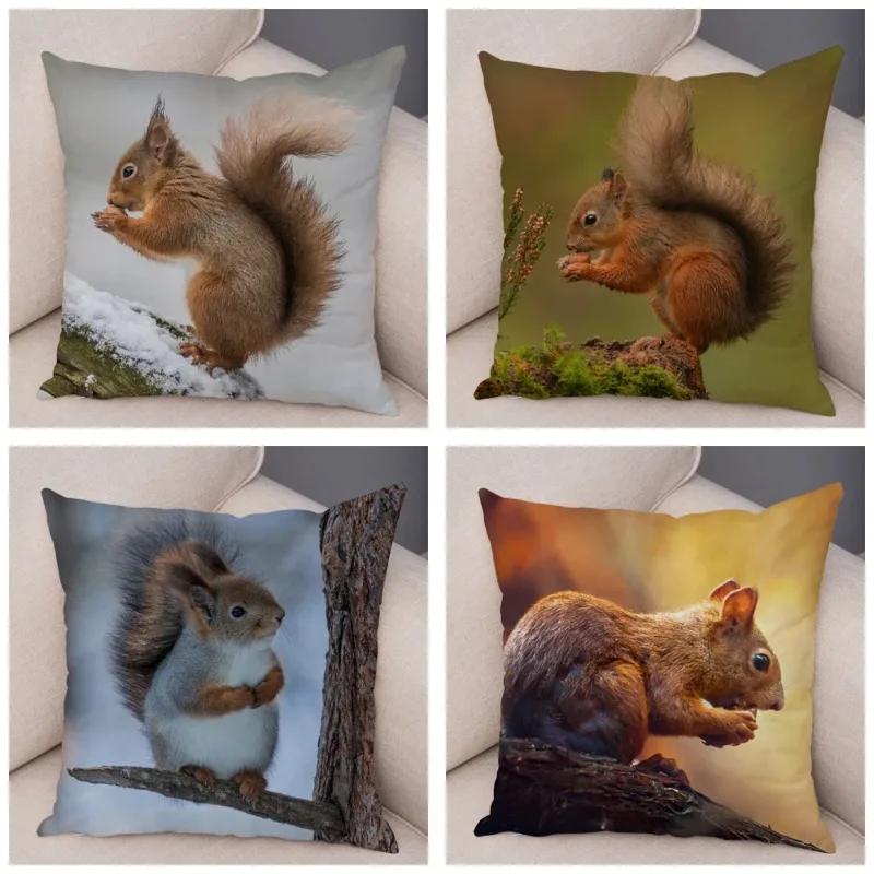 Cute Squirrel Cushion Cover Pillowcase Pillow Covers Home Decor Pet Animal Pillows Case Super Soft Polyester Pillows Covers