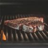 Barbekü ve Mangal – Izgara Setleri