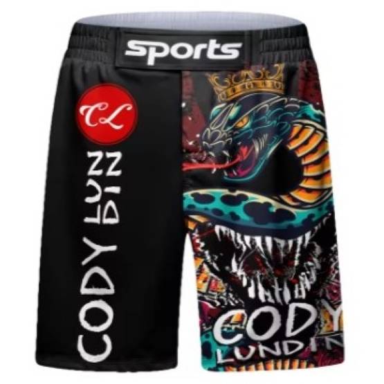 MMA Muay Thai Kickboxen Shorts Fitness Unisex Herren Damen Workout Schnelltrocknend Druck Elastischer Bund Gym Fitness Training