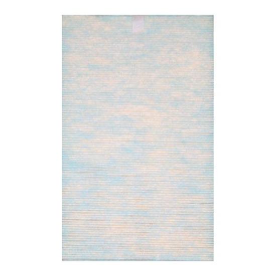 

Toshiba Air Purifier Replacement Dust Filter CAF-J22KSF