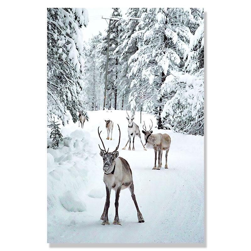 Vánoční dekorace Zimní sob Sova Sníh Les Fototapeta Nástěnná malba Severské umění Plakáty a grafiky Obývací pokoj Dekorativní fototapeta