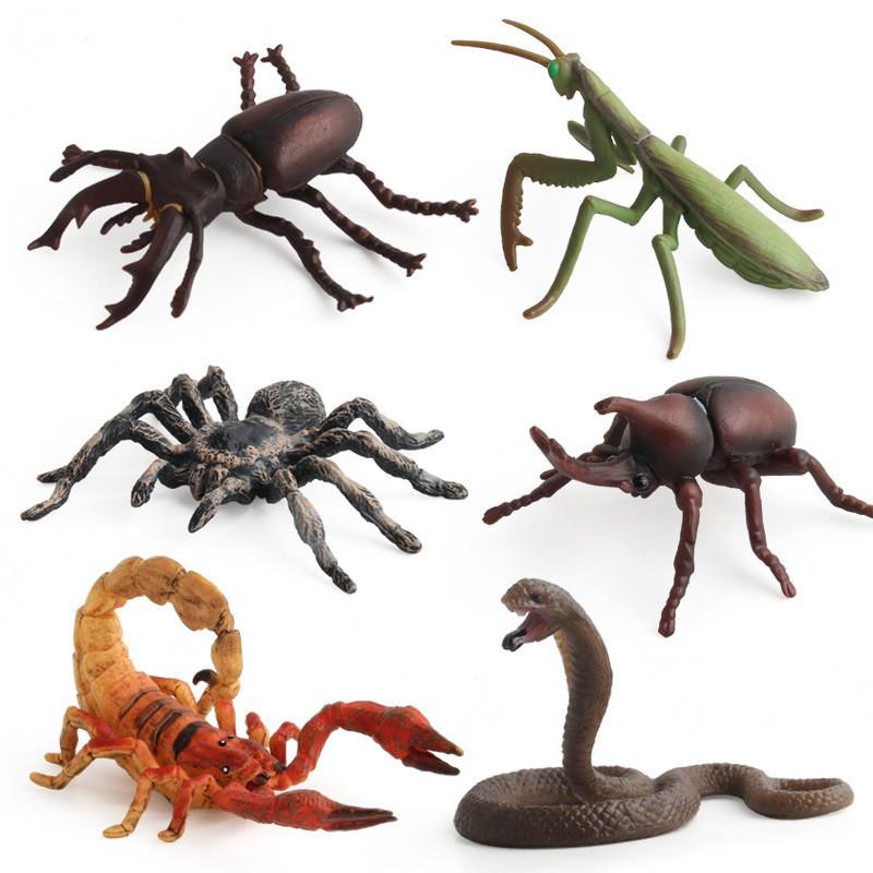 Allomyrina Dichotoma Model Pvc Realistic Display Scene For Science Education And Collectors