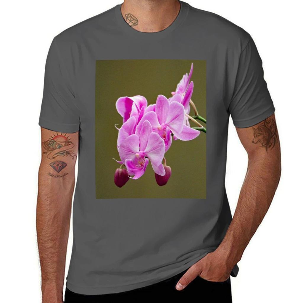 Orchid 842 Tshirt Casual Minimalist Short Sleeve Top