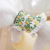 Spring and Summer Puppy Dog Clothes Thin Breathable Suspender Skirt Cat Small Dog Teddy Pet Dress