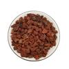 Lightweight Pumice Volcanic Rock Filter for Water Treatment and Garden Landscaping.