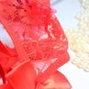 Sexy Sheer Suspender Women's Belt Lace Garter Stockings Bowknot