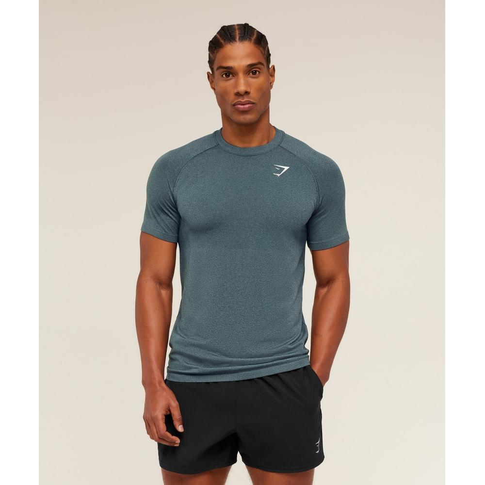 Gymshark ViTal Seamless T shirT Iron Blue    sTealTh Blue A2b5p Ud79