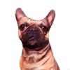 Animals Dog Pattern Plush Throw pillow case, Durable Filled with PP Decorative for Living Room