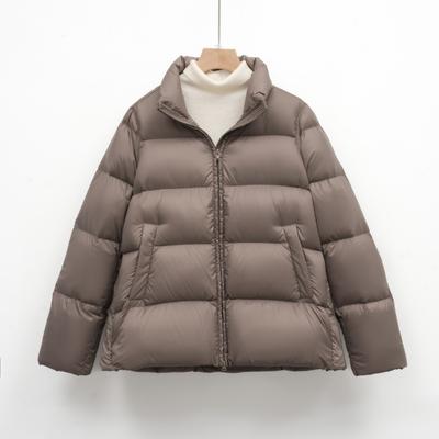 Plume Nouvelle 90 Duvet Femme Couleur Unie Simple Duvet de Canard Blanc Manteau Ample Épaissi Veste Doudoune Pain
