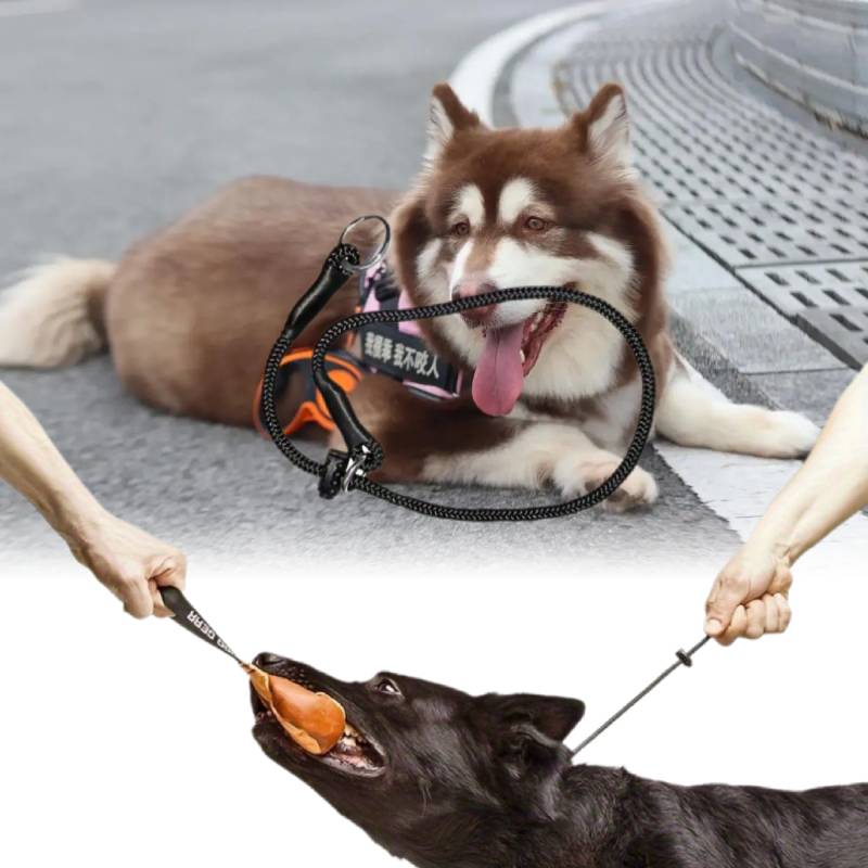 Dingo Gear Choke Collar Dog Training Handmade Cord Limiter Waterproof Dogs Large