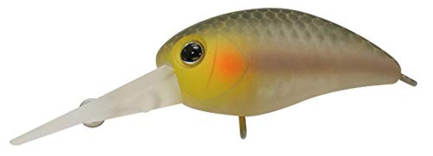 JACKALL Lure Timon Panicra MR Shizuoka Beauty