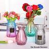 European Glass Vase for Fresh or Dried Flowers - Simple, Creative Home Decor Ornament