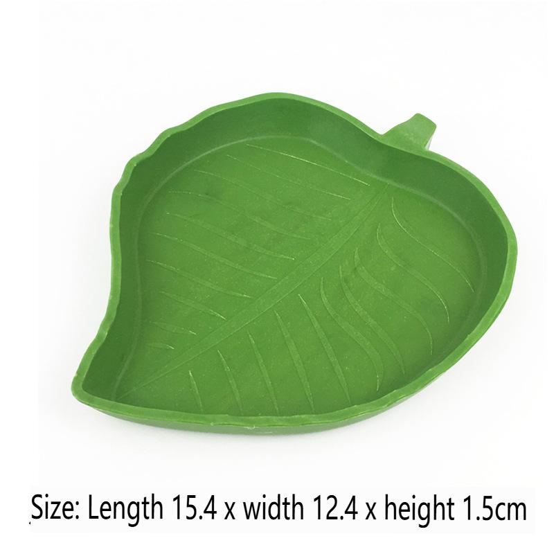 Reptile Feeding Dish for Leaf-Eating, Bowl for Terrarium
