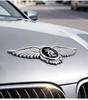 BYD Yuan Pro New Energy PLUS EV Front Emblem Hood Wings Sticker