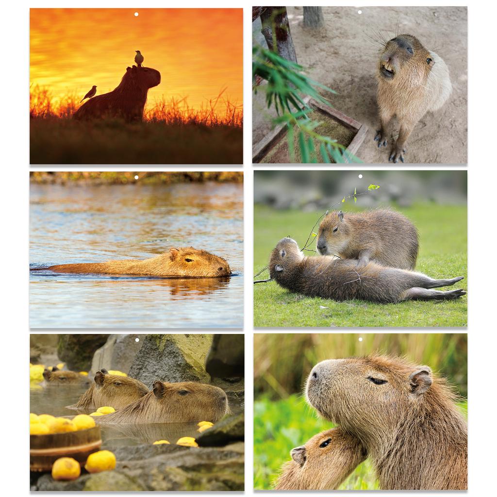 2026 Themed Wall Calendar Monthly Calendar With 16 HD Photos