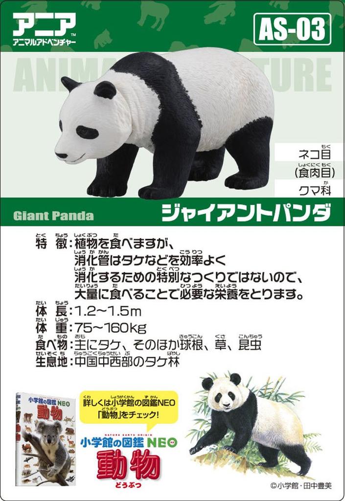 Ania Panda Gigante AS-03