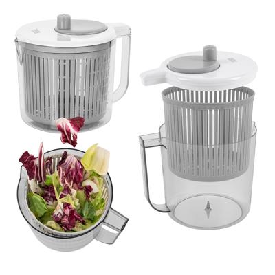 Teesa 2.5L Salad Dryer Spinner