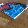 Used Yoshitaka Amano Illustration Special Edition First 2014 From Japan