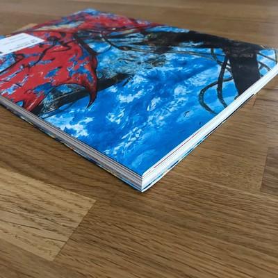 Used Yoshitaka Amano Illustration Special Edition First 2014 From Japan