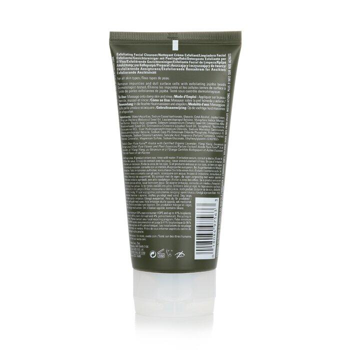 AVEDA Botanical Kinetics Exfoliating Cream Cleanser