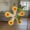Bite-Resistant Wooden Parrots Ferris Wheel With Bearings Bird Swing Toy  Bird Cage Accessories