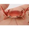 Creative And Cute Crab Pencil Holder Weight Lifting Convenient Storage Phone Decoration Model