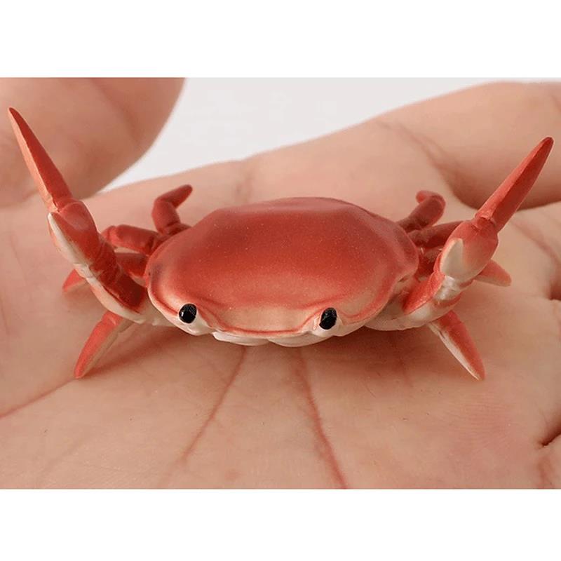 Creative And Cute Crab Pencil Holder Weight Lifting Convenient Storage Phone Decoration Model