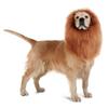 Hoodie Winter Autumn Pet Hat Lion Modelling Pet Cosplay Outfits Wig Cap Hat Lion Mane Pet Costume