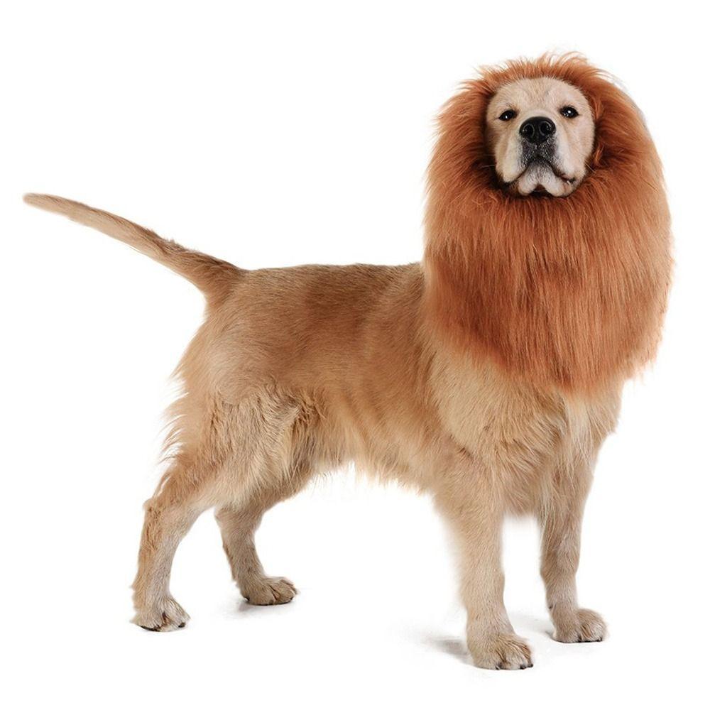 Hoodie Winter Autumn Pet Hat Lion Modelling Pet Cosplay Outfits Wig Cap Hat Lion Mane Pet Costume