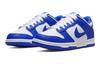 Nike Dunk Low Racer Blue GS DV7067-400