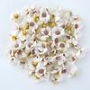 50 Stück/Lose 2cm Mehrfarbiger Gänseblümchen-Blütenkopf Mini Seidenblume Künstliche Blume Kranz Schneidezubehör für Heim- und Hochzeitsdekoration