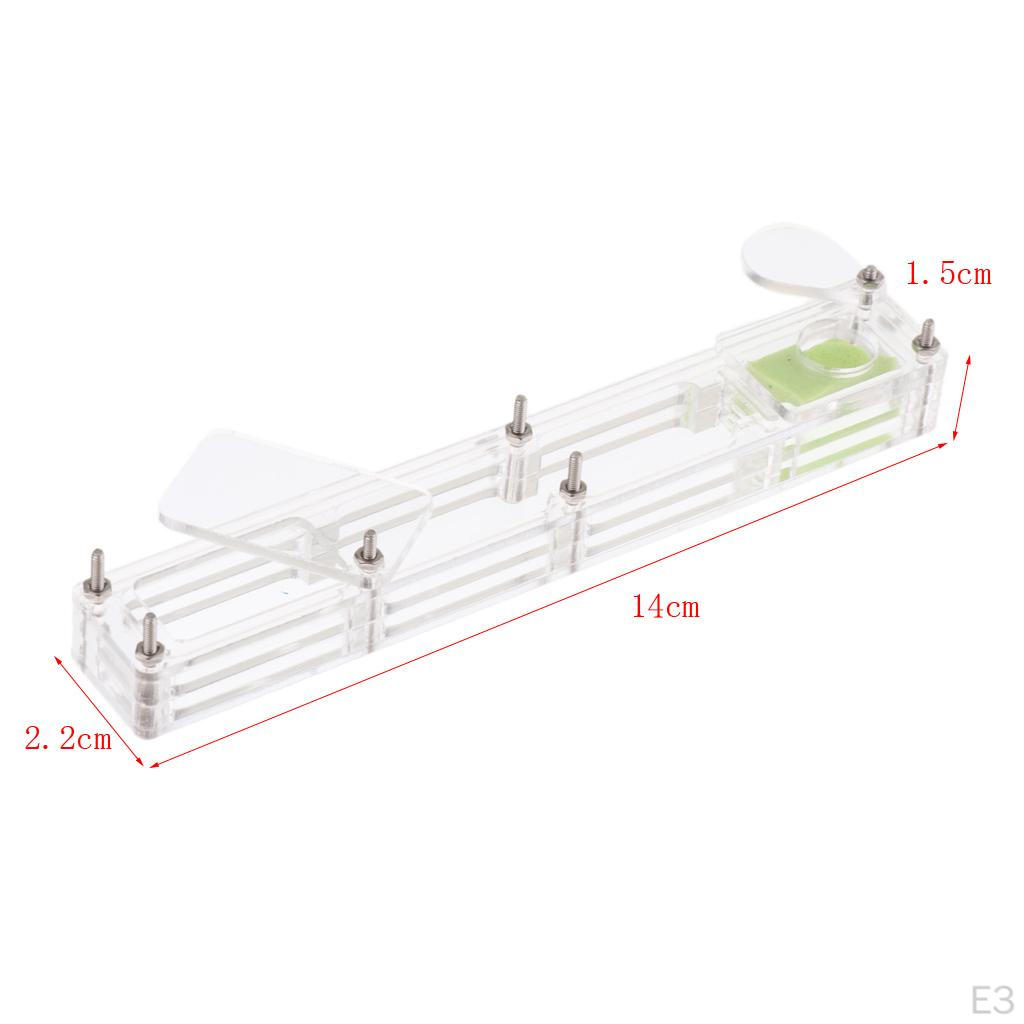 Small Housing Acrylic Nest Feed Farm Formicarium Box