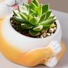 Animal Flower Pot Cat Dog Succulents Pots Resin Planter with Drainage Hole for Succulents Home Office Desk Decoration