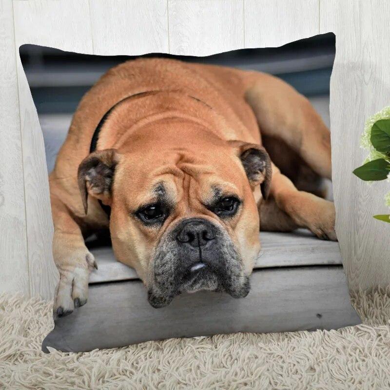 Pillowcase Bulldog  Modern Home Living Room Decoration