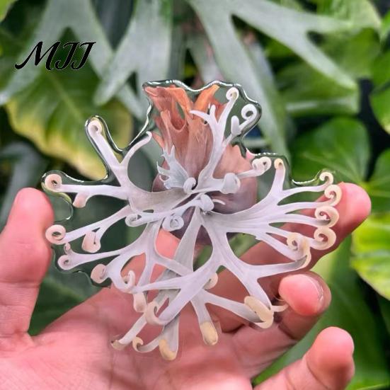 Plant Home Decor 3D Tropical Plants Refrigerator Magnet, Acrylic Green Decorative Fridge Metal Surface Magnet Memo Notes Photo Holder for Kitchen