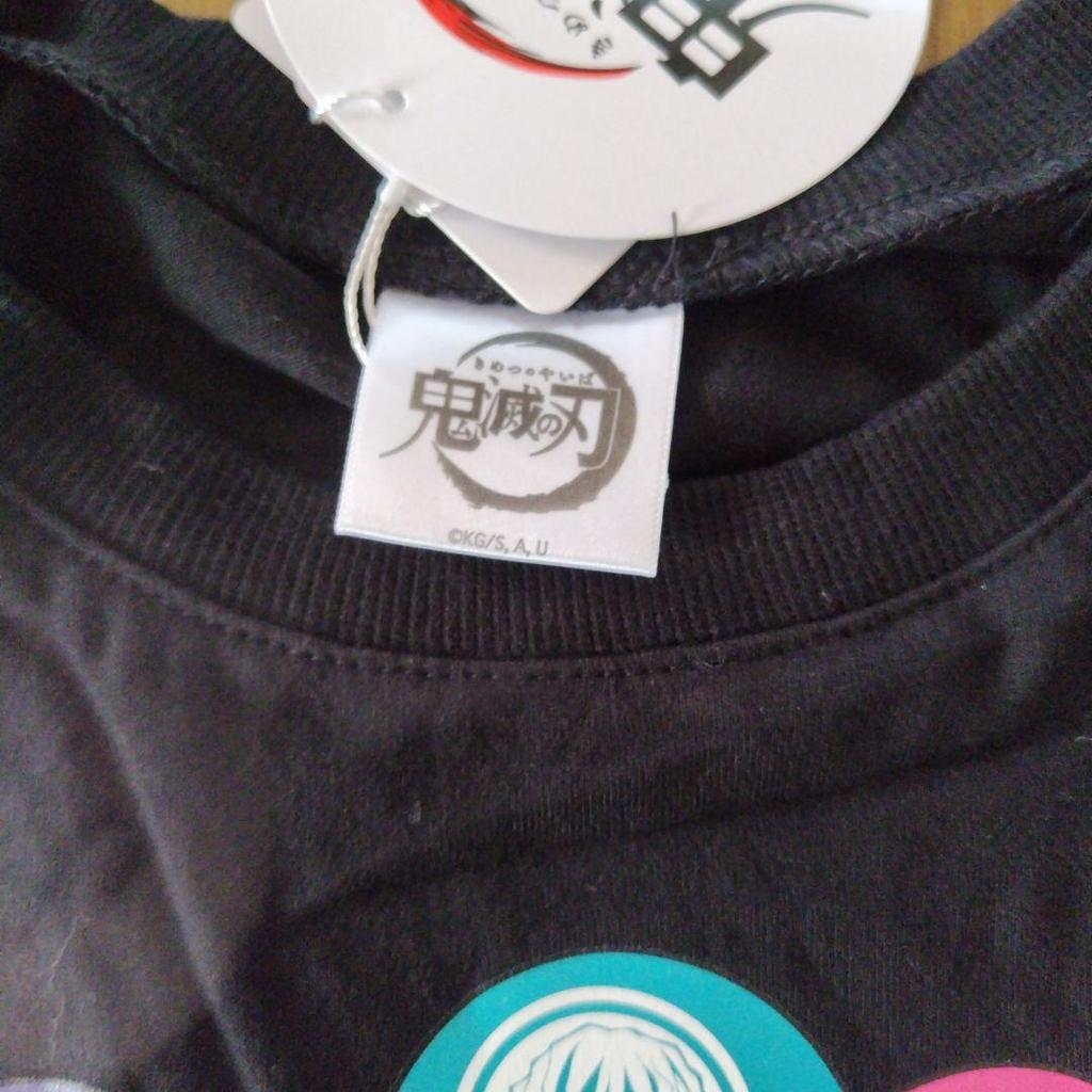 [USED] Demon Slayer: Kimetsu No Yaiba Hashira Women's T-Shirt LL Hashira